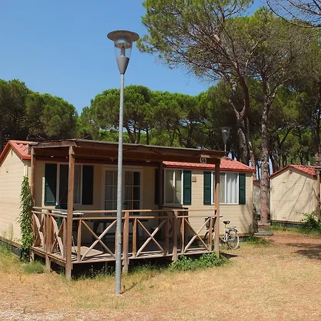 Mobile In By Adriatic Sea