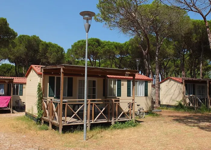 Mobile In By Adriatic Sea